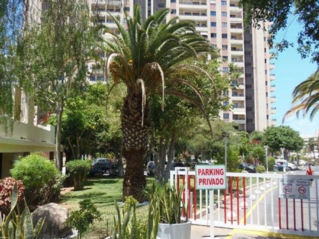 Golden Dreams & Perfect For You ***** Costa Adeje  Exterior photo